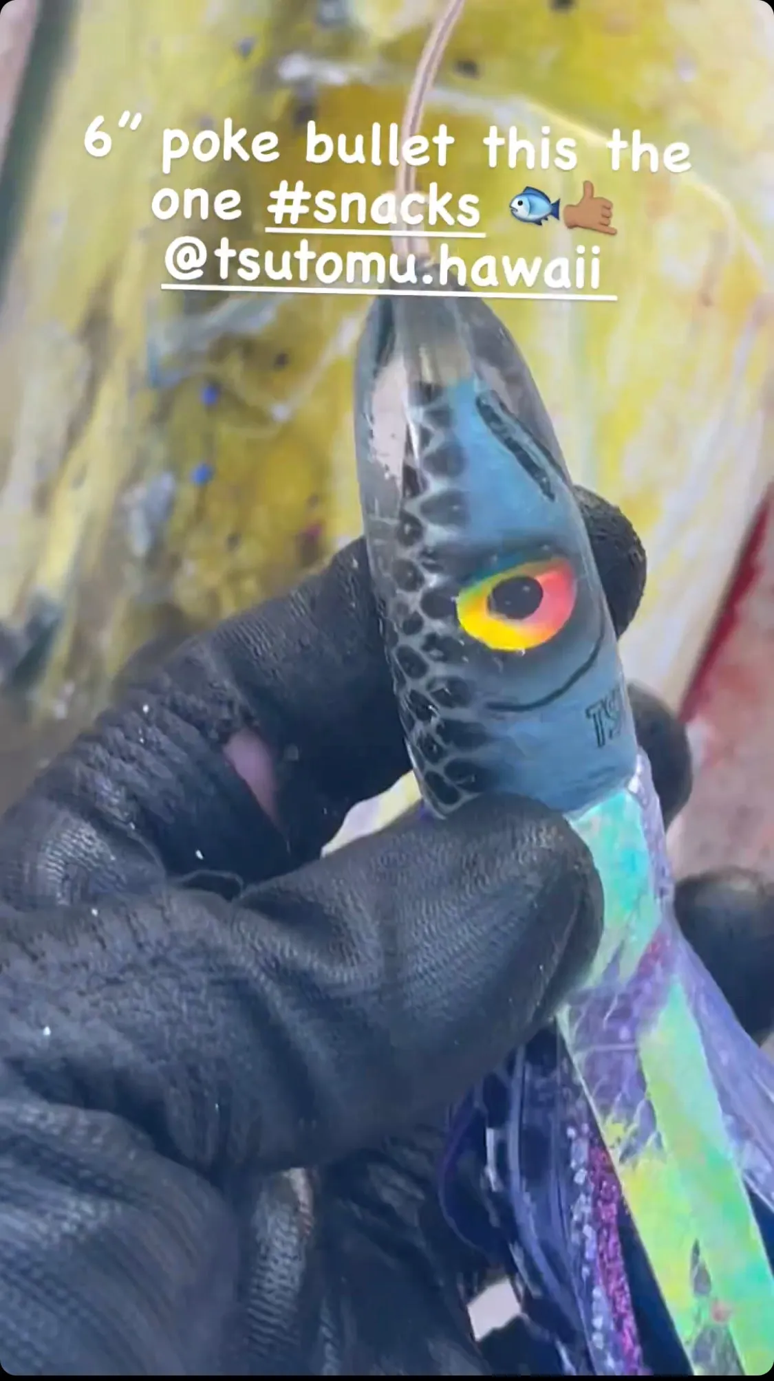6” Poke Series: Blue Steel