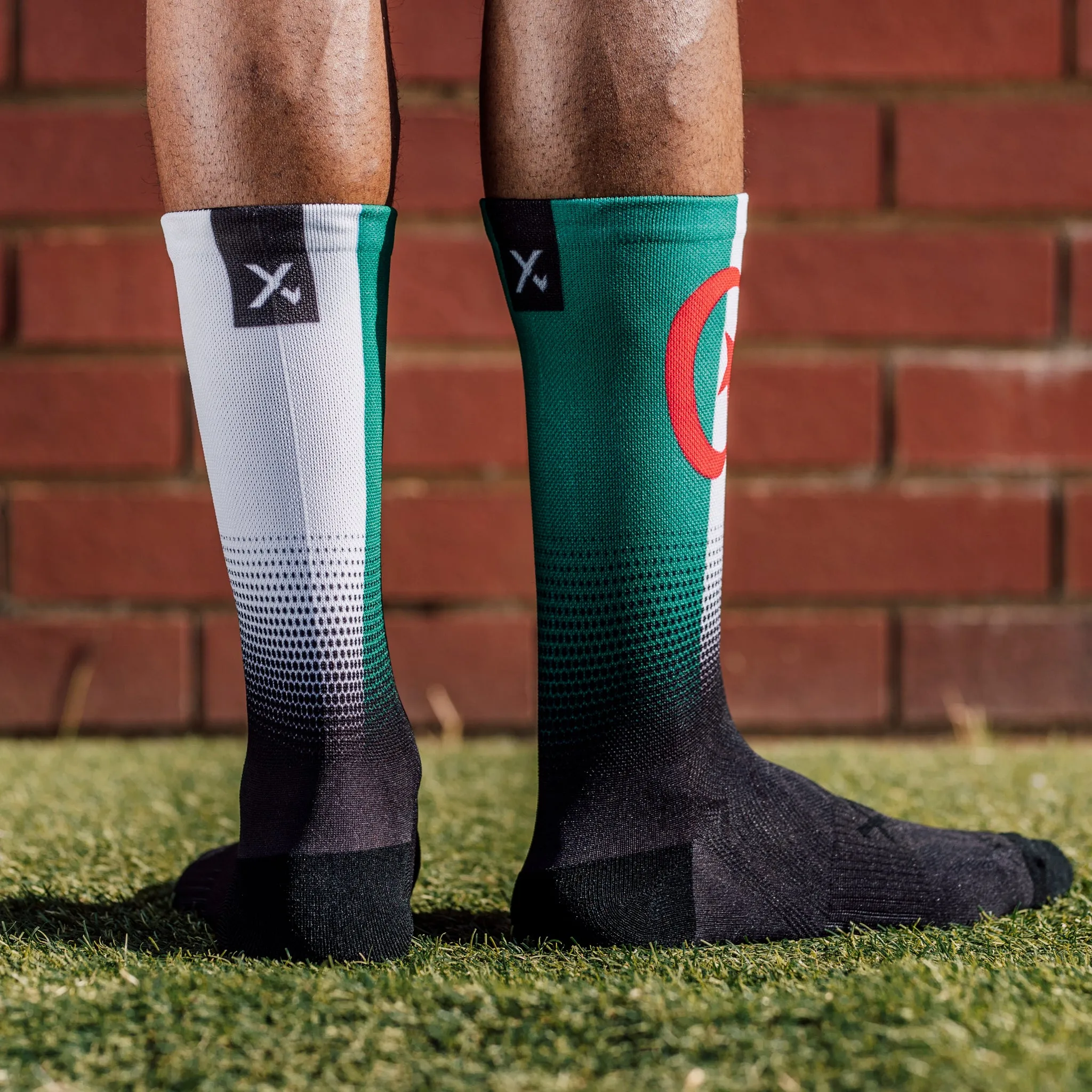 Algeria Flag Socks
