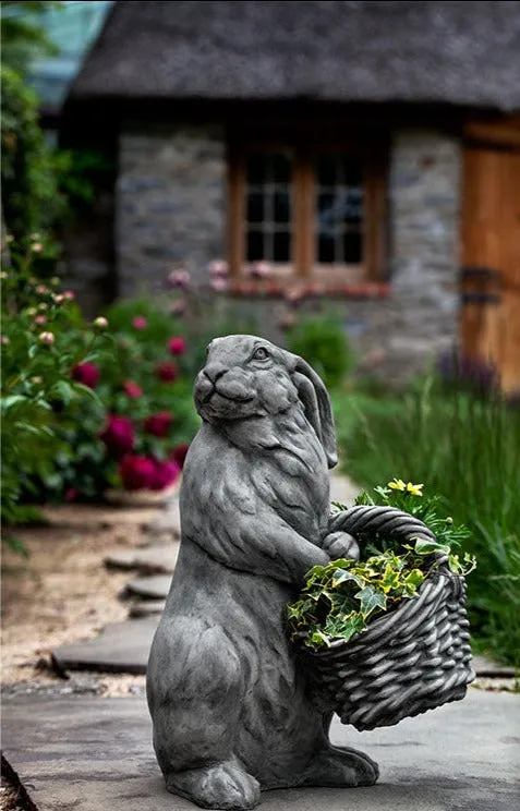 Campania Spring Hare