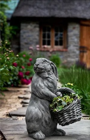 Campania Spring Hare