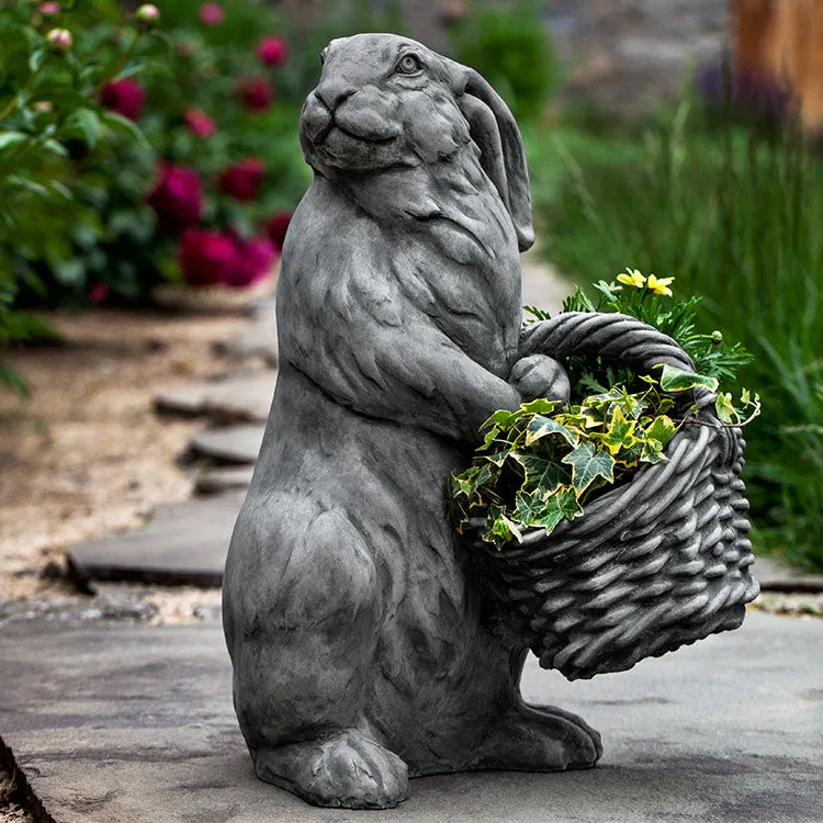 Campania Spring Hare