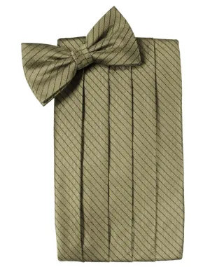 Champagne Palermo Cummerbund