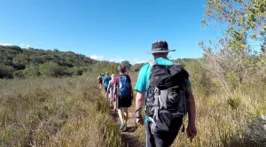 Day Hikes Garden Route