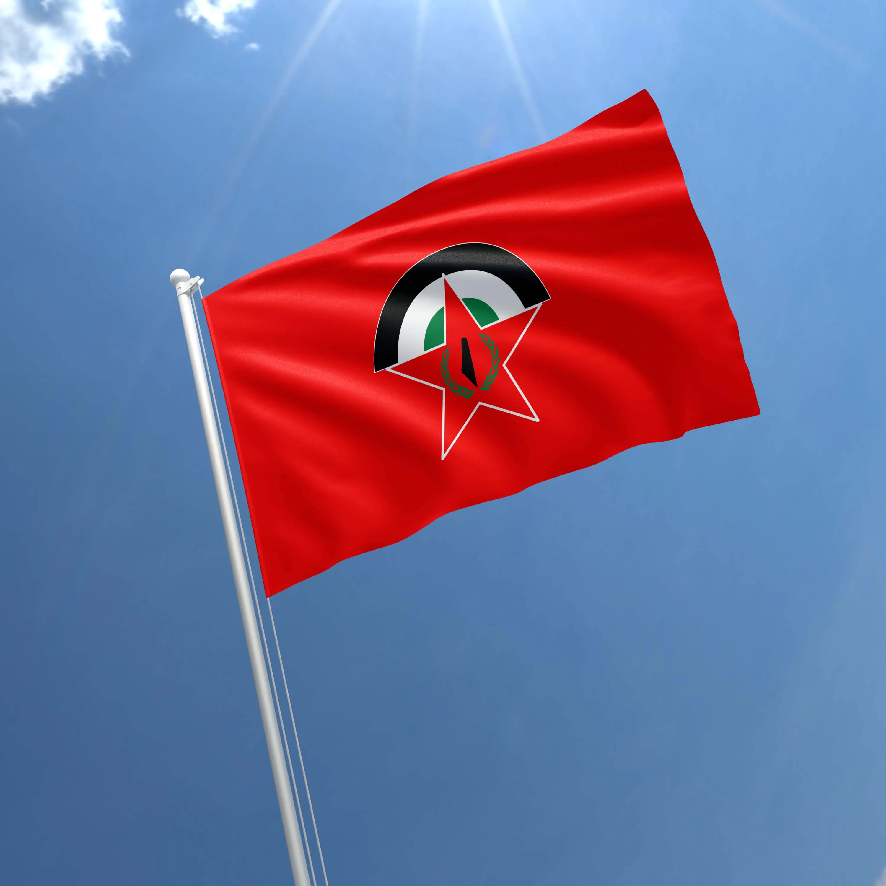 Democratic Front for the Liberation of Palestine Flag Banner