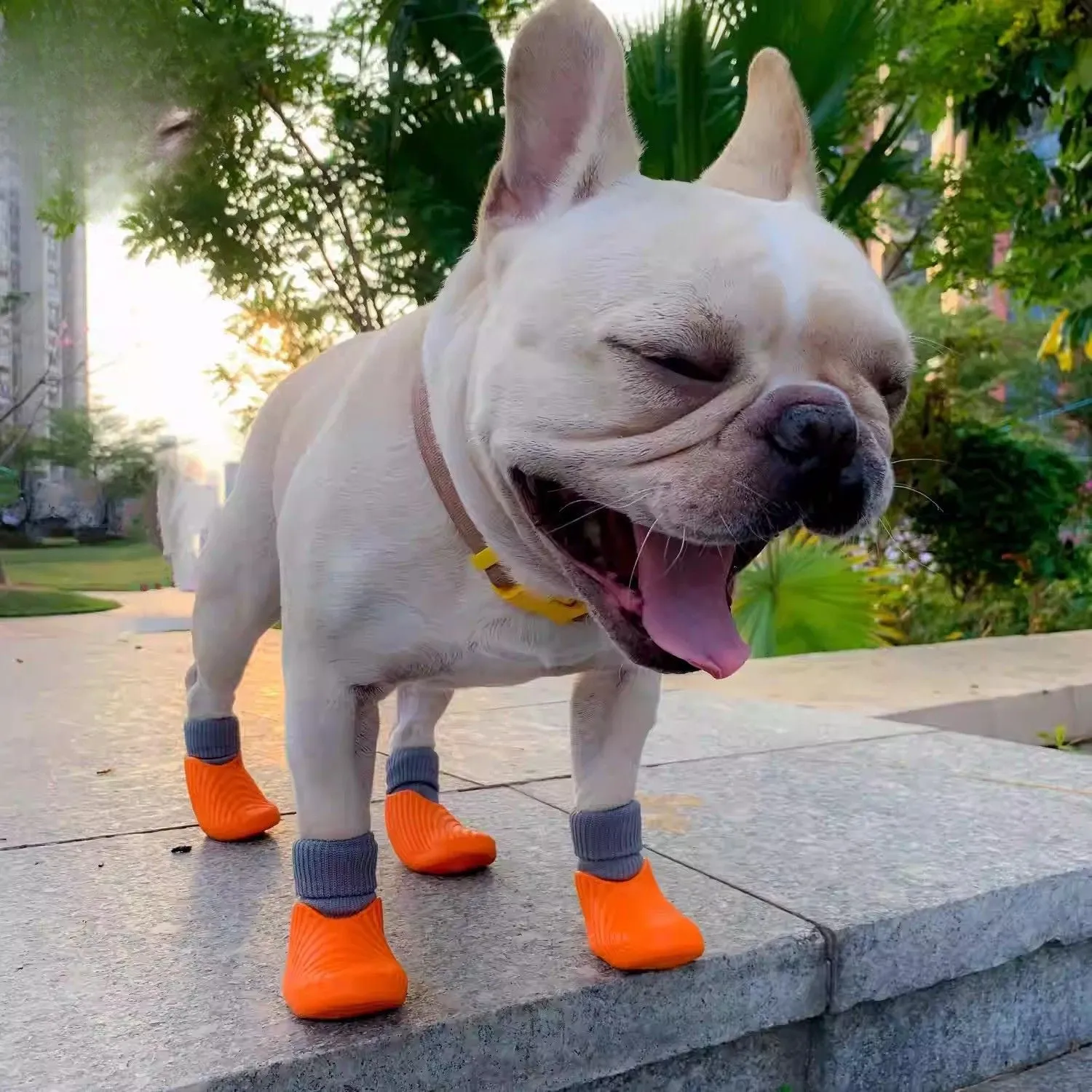 FlexiPaws Frenchie Waterproof Rain Boots – High-Elastic Non-Slip and Durable Design