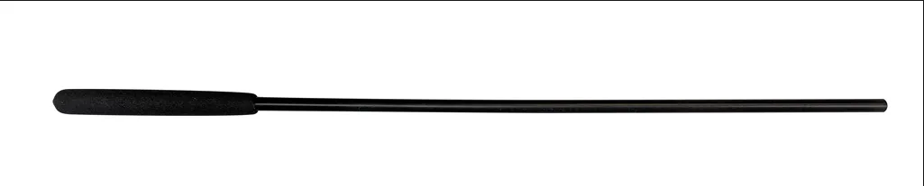 Fugly Liquid Cane ~ Bound 2 Please