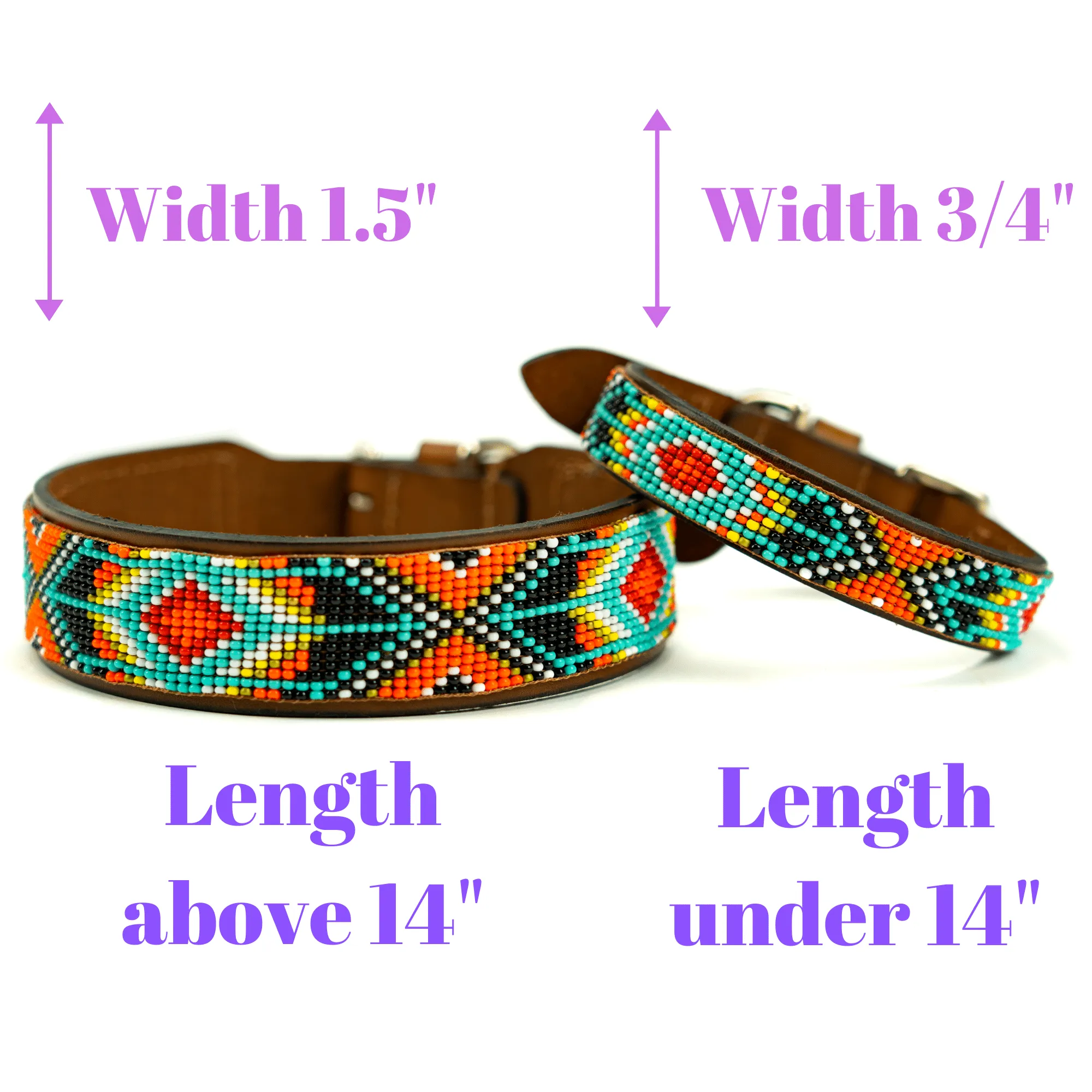 Matching leash/dog collar Biarritz Sambboho Bundle