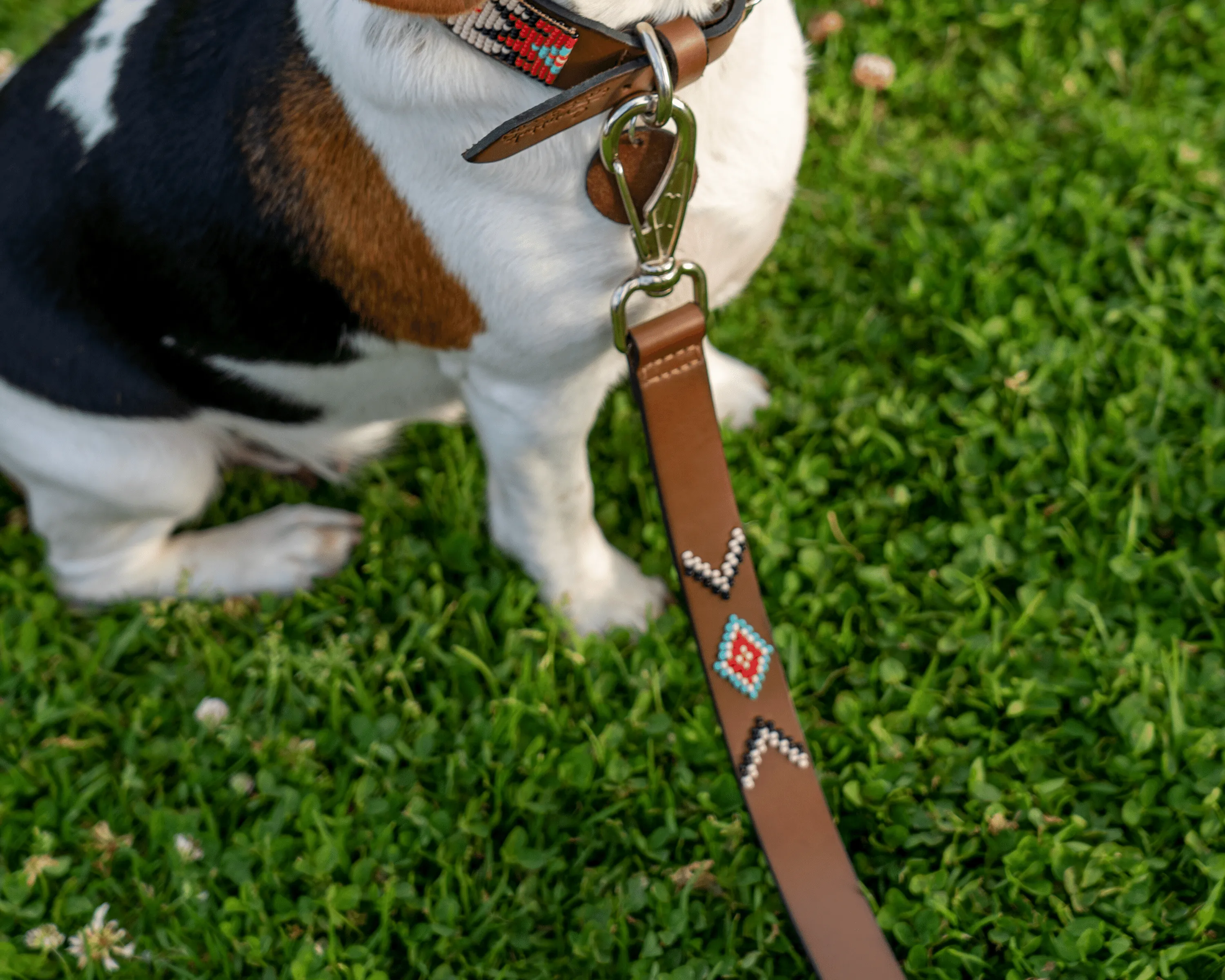 Phoenix Dog Leash (made to order)