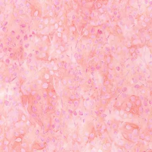 Spring Promise Batiks Petal