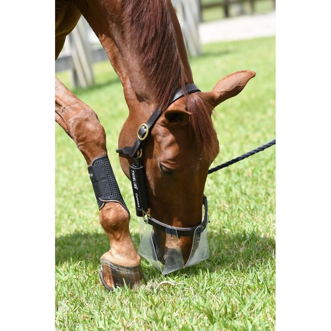 ThinLine Flexible Filly Grazing Muzzle