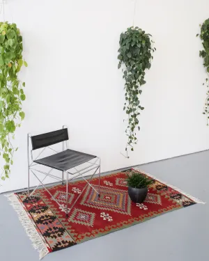 Vintage Turkish Denizli Kilim Rug 3'9"x6'2"