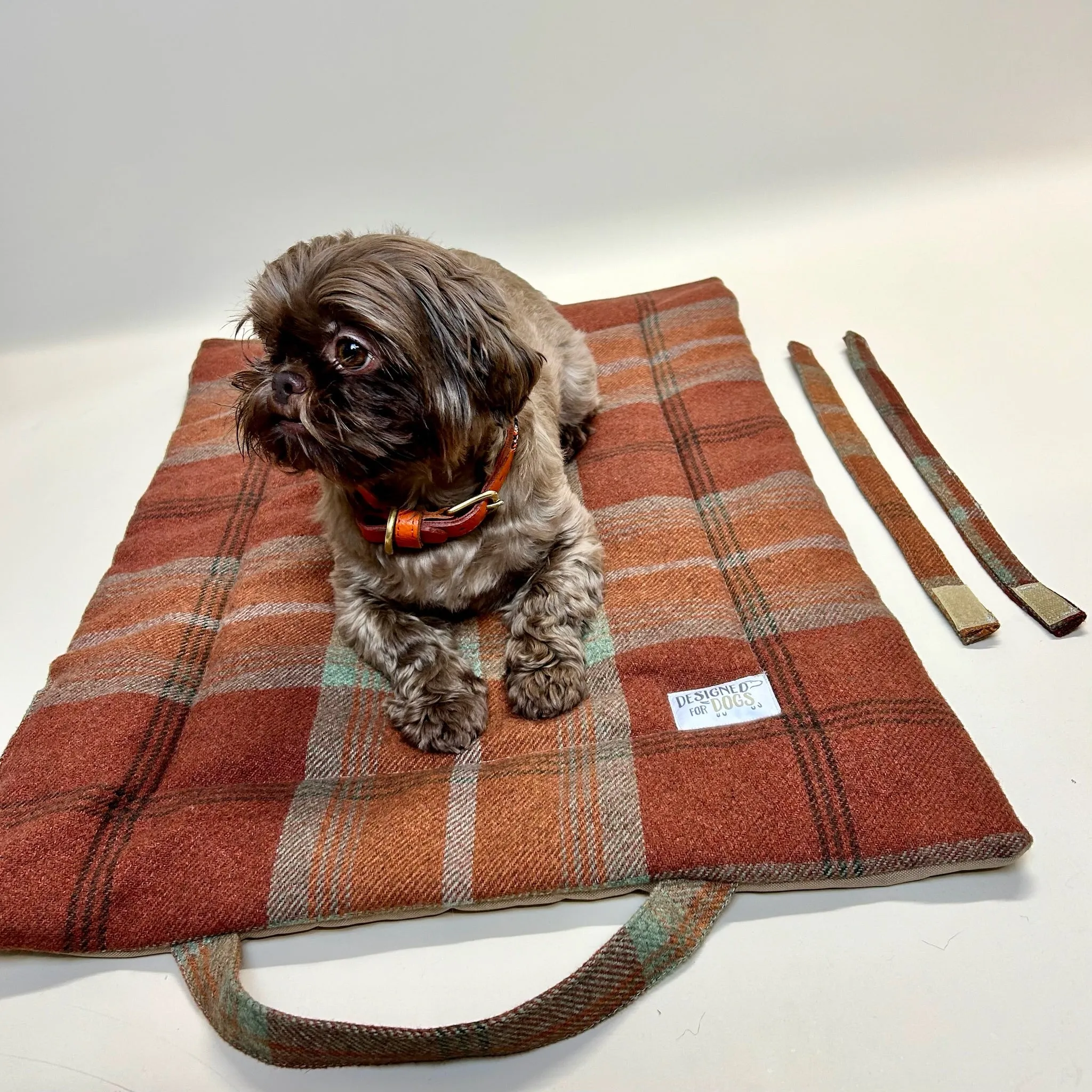 Warm Spice Tartan Picnic Pads
