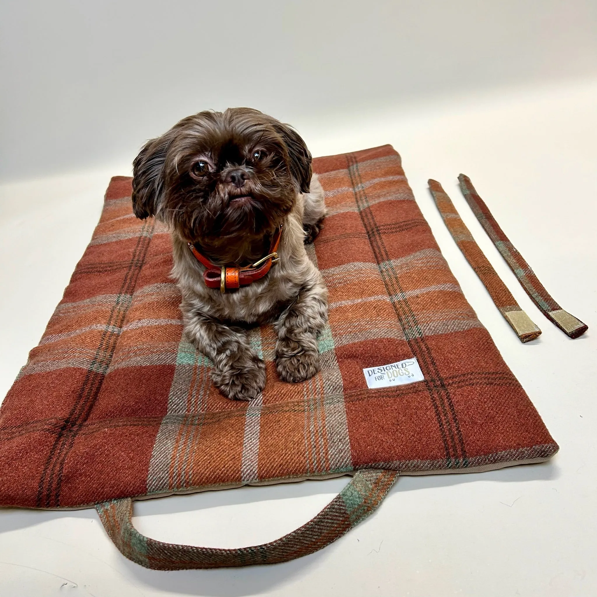 Warm Spice Tartan Picnic Pads