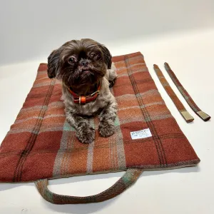 Warm Spice Tartan Picnic Pads